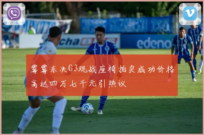 霉霉东决G3观战座椅拍卖成功价格高达四万七千元引热议